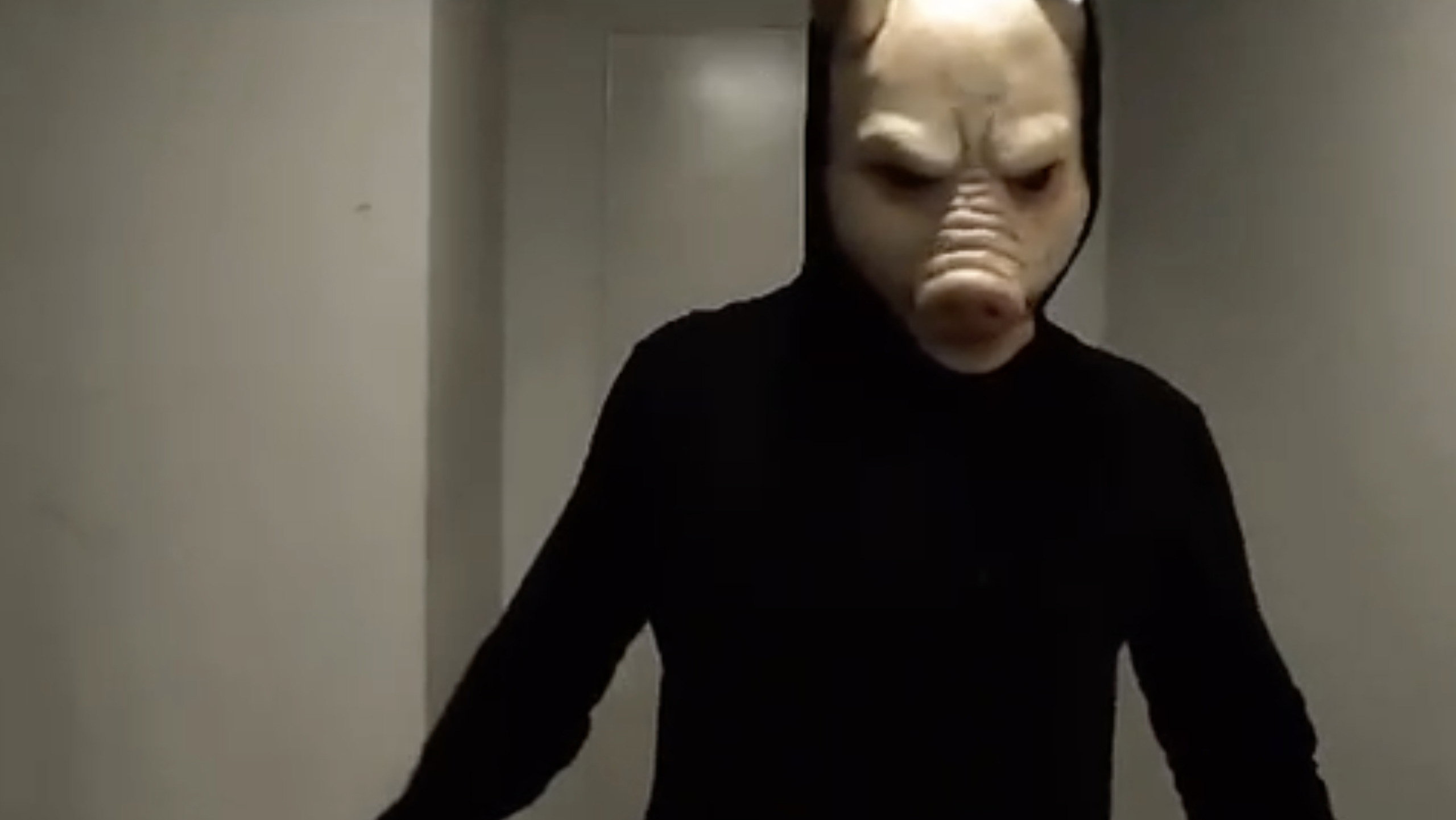 The Killer Pig
