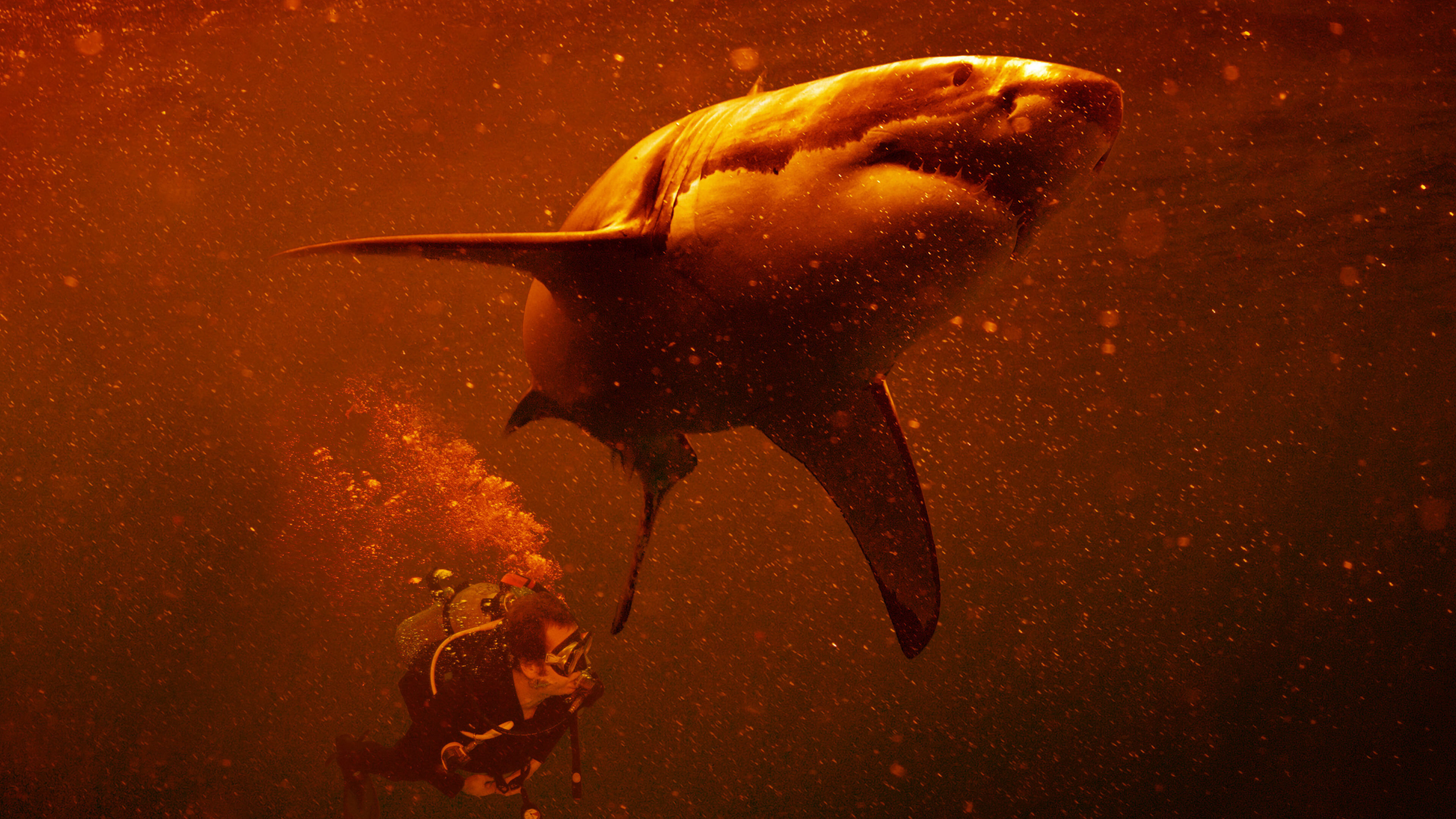 Sharkcano: Hawaii