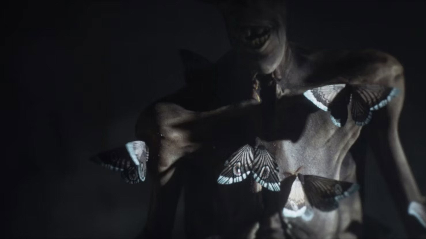 Moths