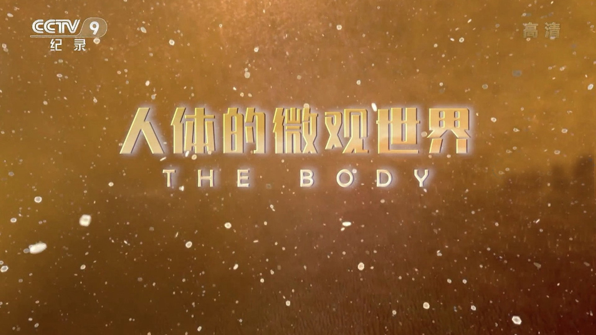 人体的微观世界