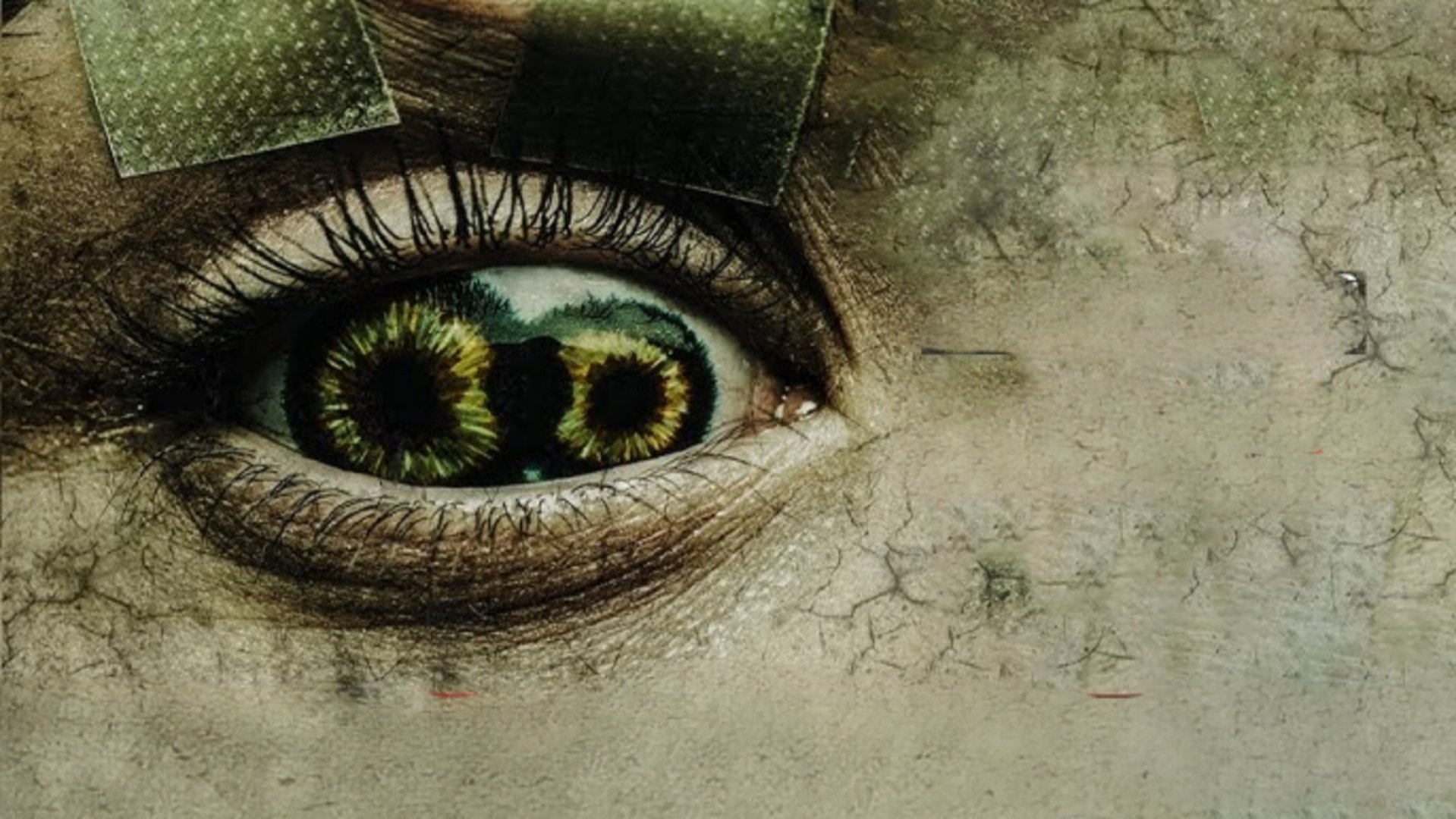 Never Blink