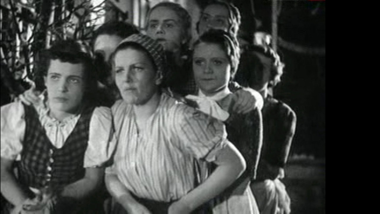 Petticoat Government