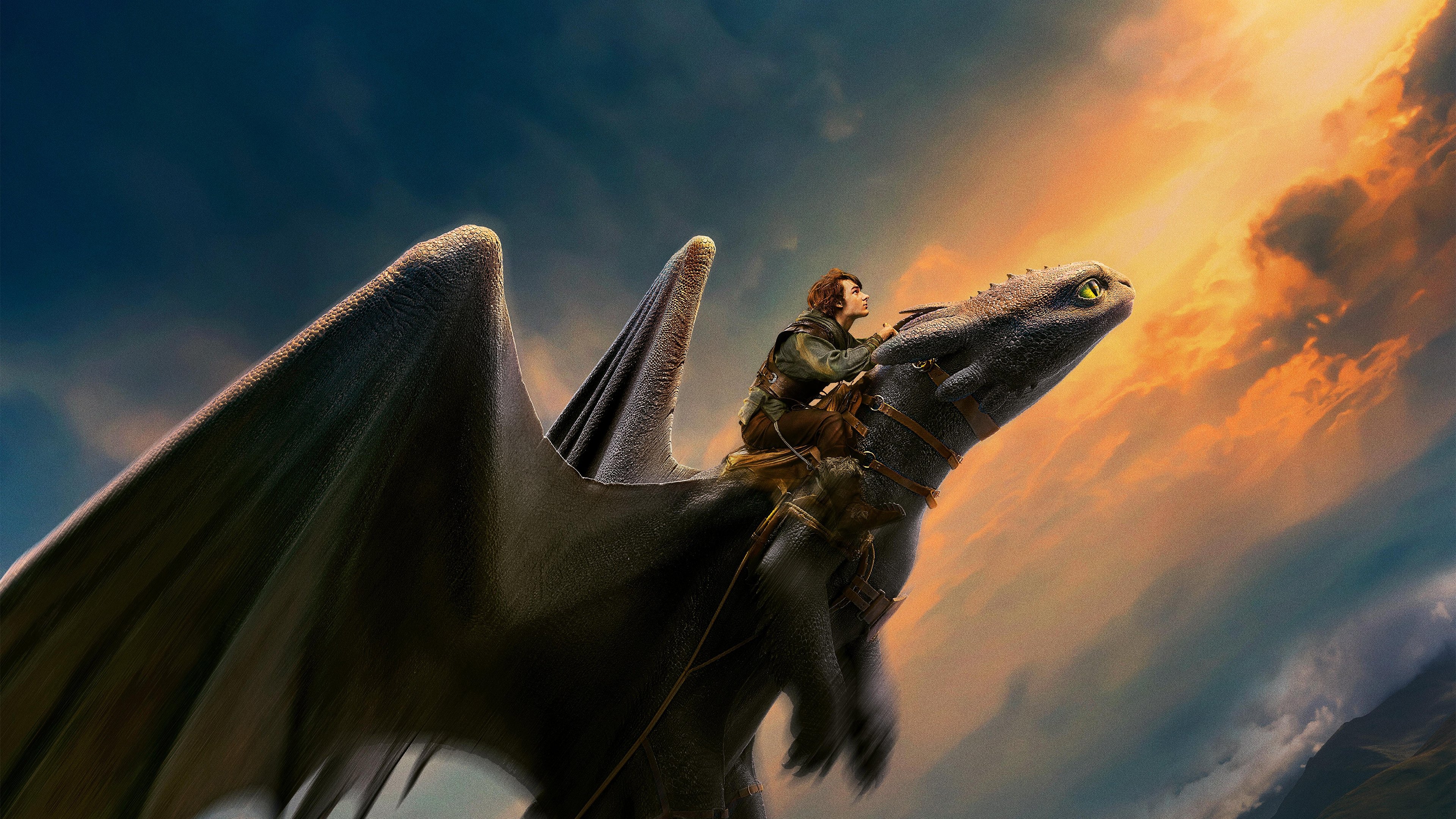 How to Train Your Dragon