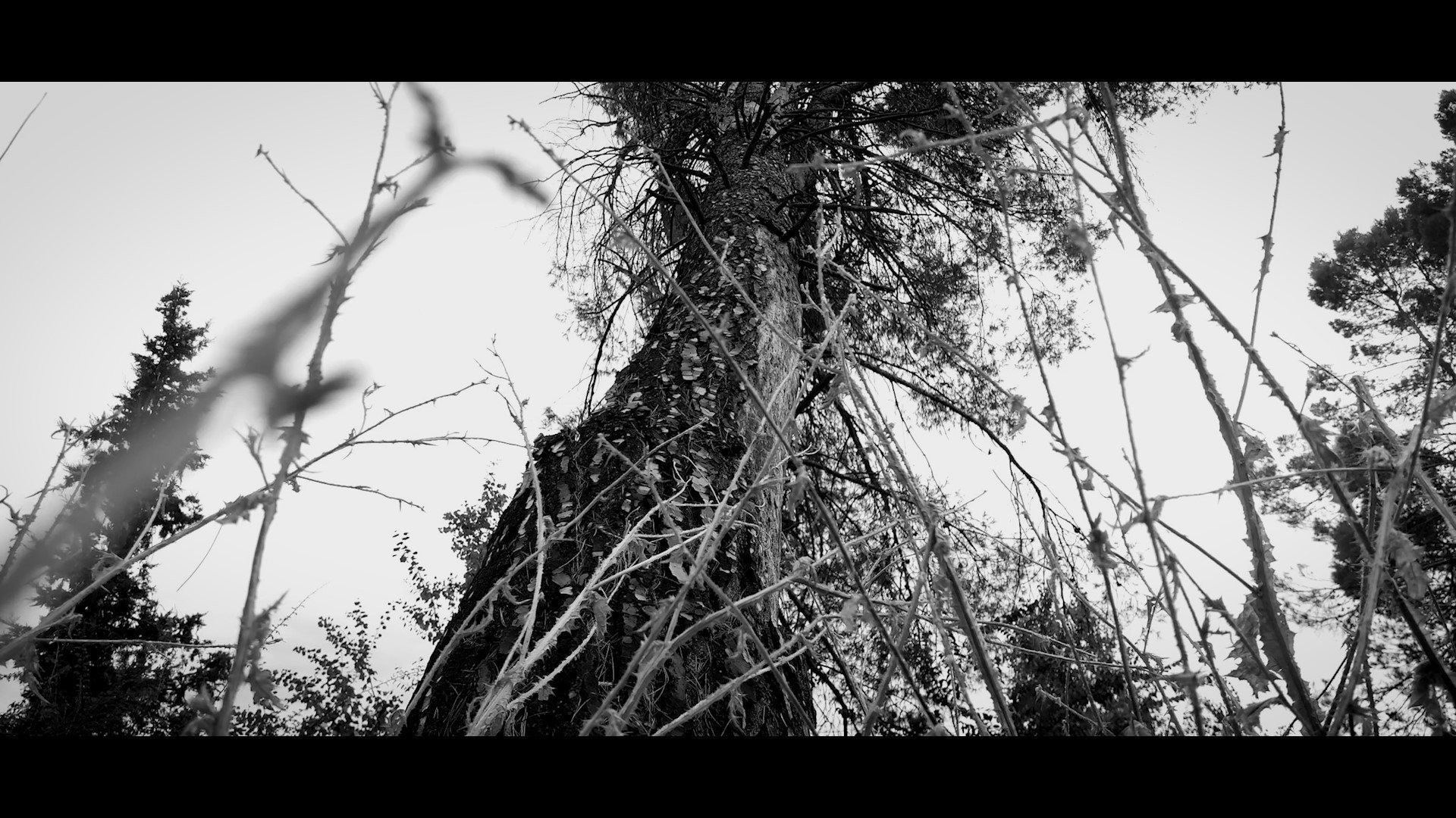 ESTRATOSIS
