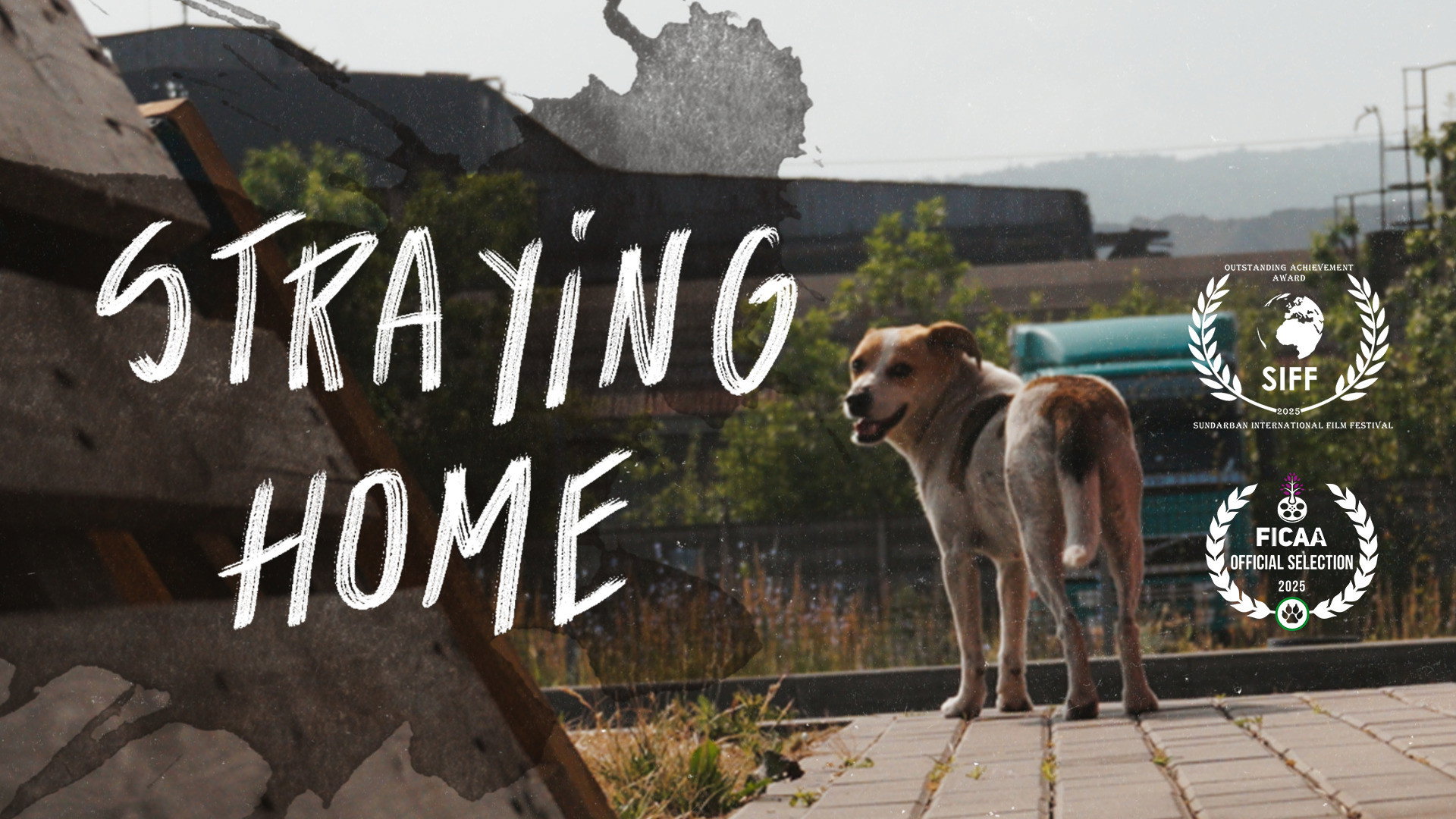 Straying home