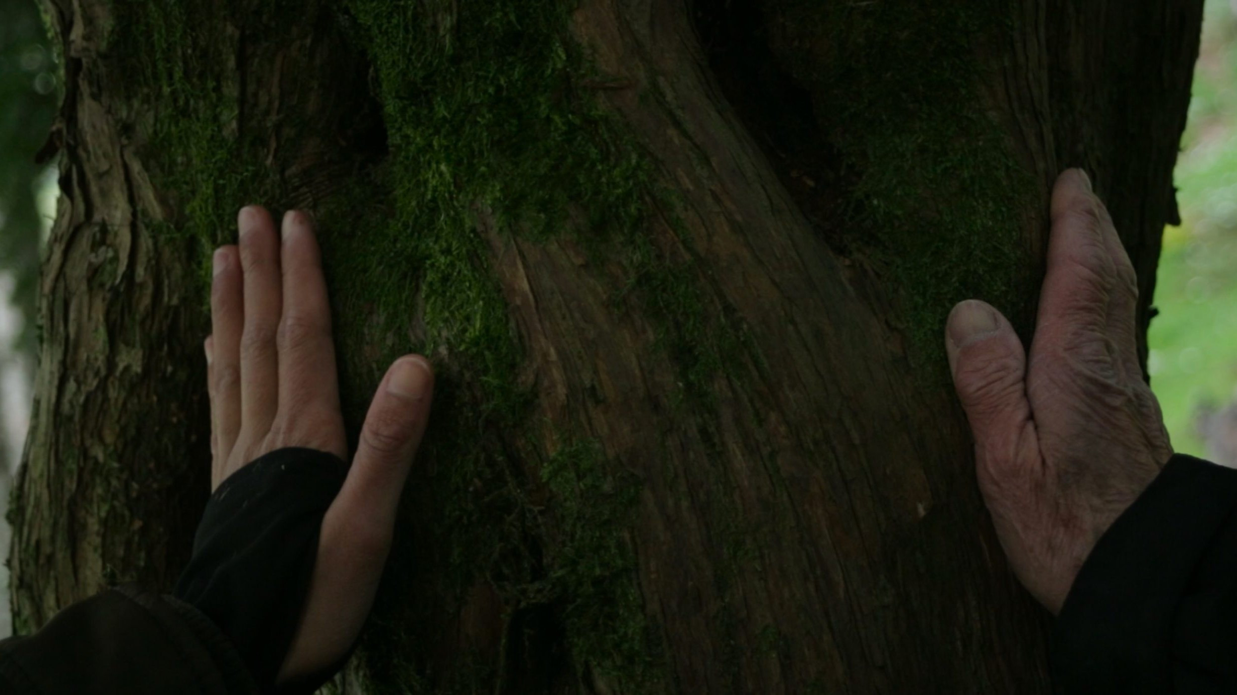 We Are Two Abysses