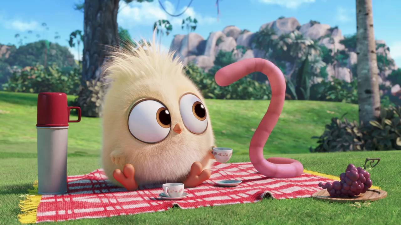 Angry Birds: The Early Hatchling Gets the Worm