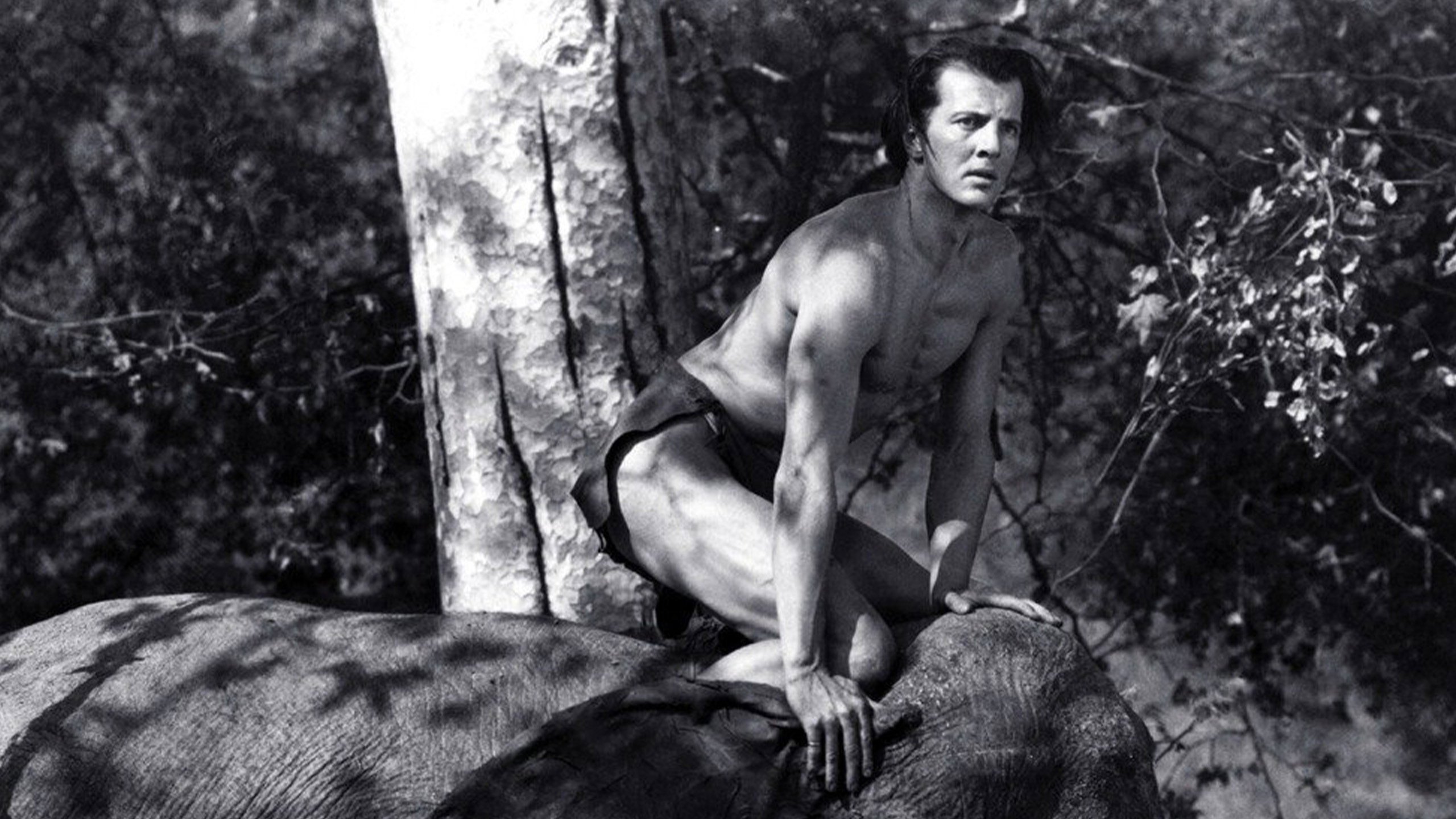 Tarzan and the Green Goddess