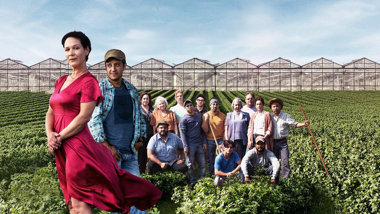 Le temps des framboises
