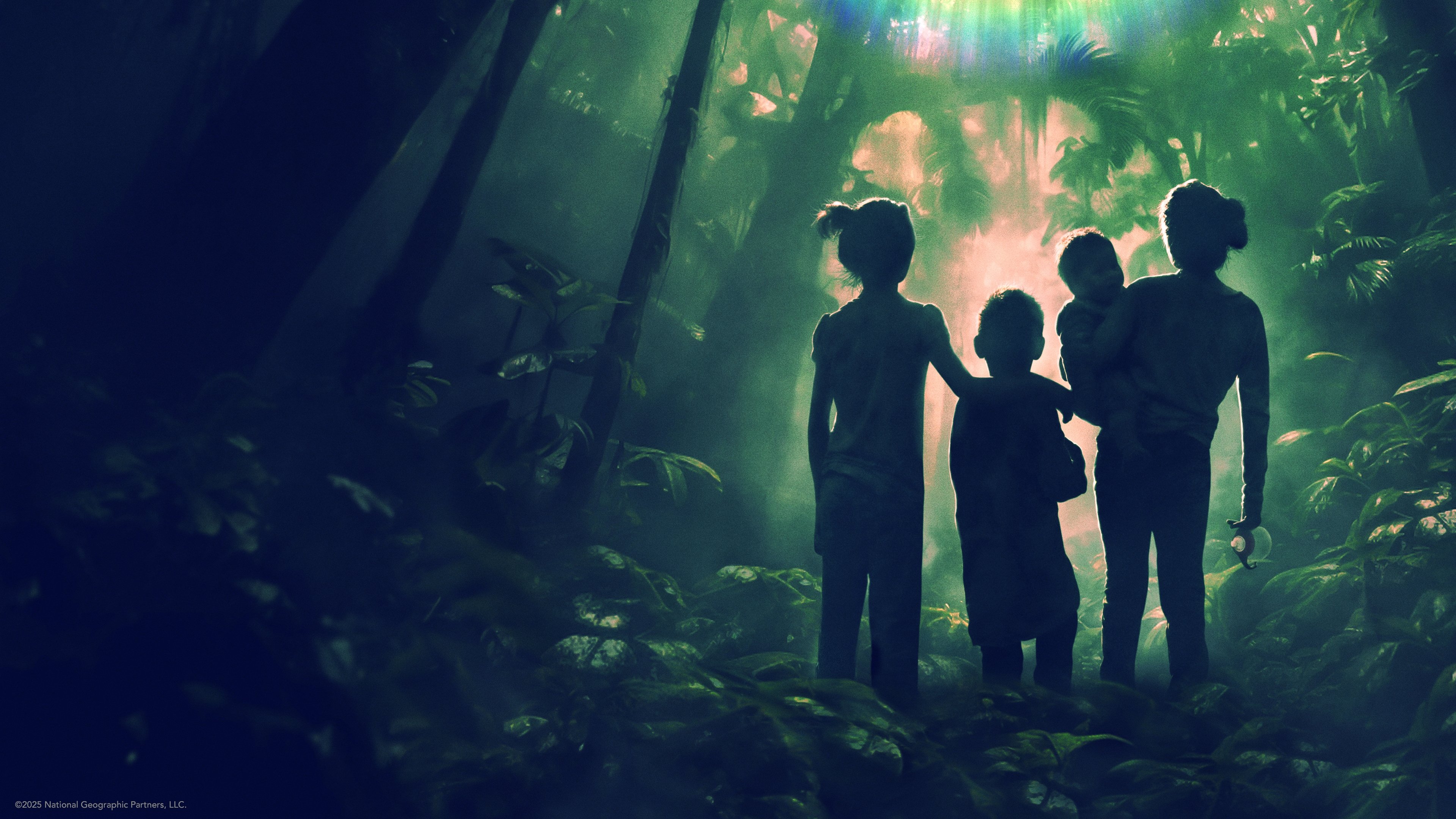 Lost in the Jungle