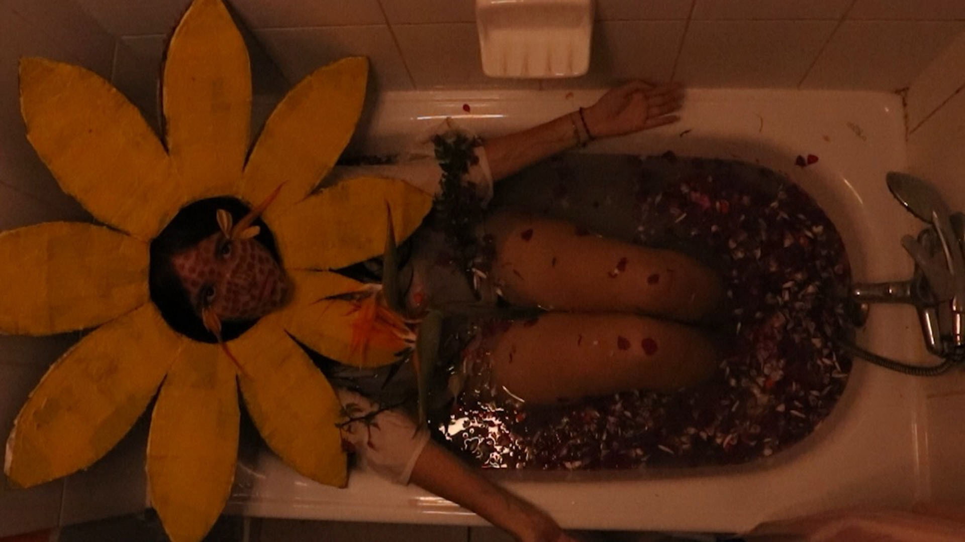 te de girasol