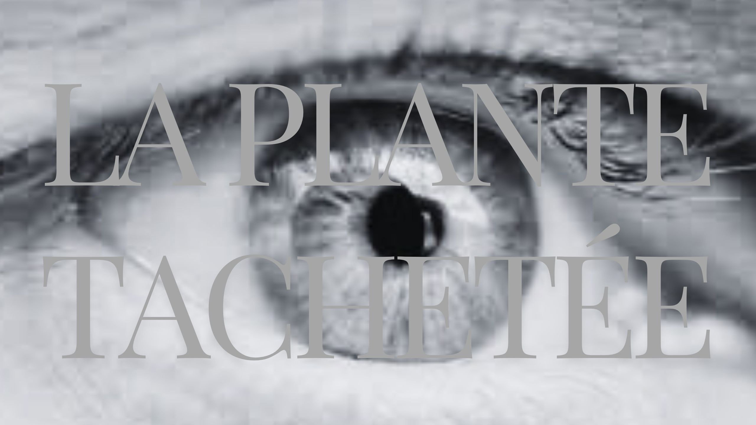 The Spotted Plant