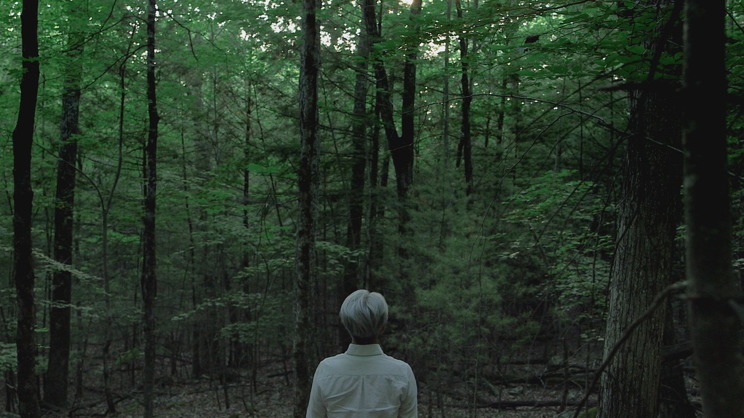 Ryuichi Sakamoto: CODA