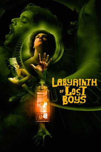 Labyrinth of Lost Boys