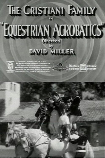 Equestrian Acrobats