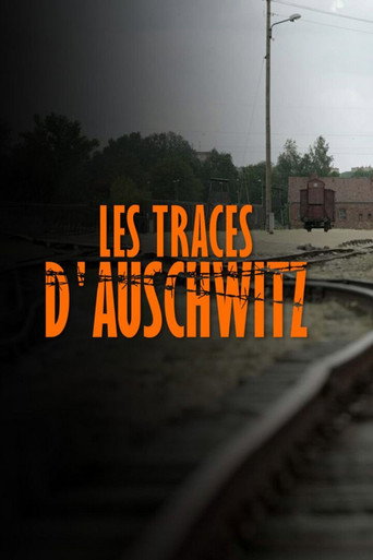 Les Traces D'Auschwitz (2021)