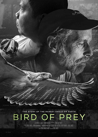 Bird of Prey