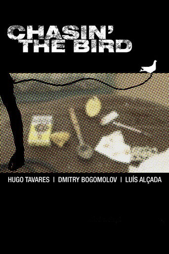 Chasin’ The Bird
