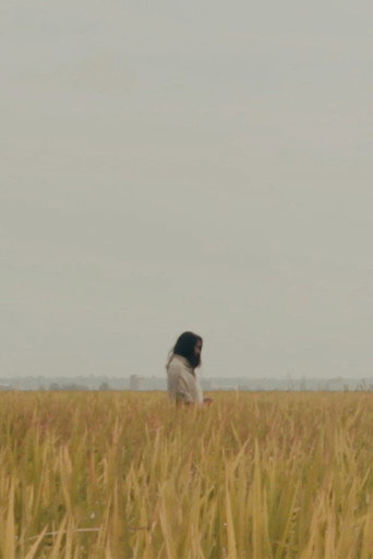 The Lost Piece