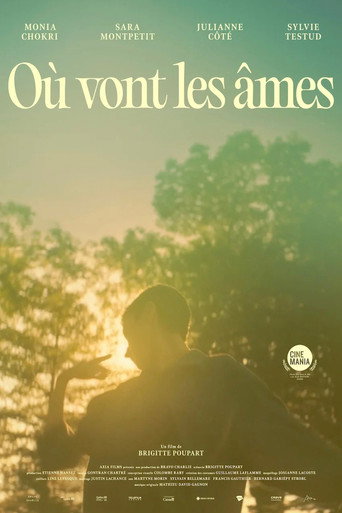 Where Souls Go