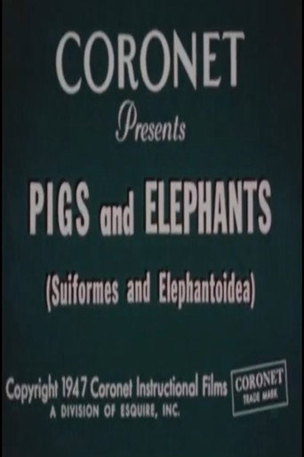 Pigs and Elephants (Suiformes and Elephantoidea)