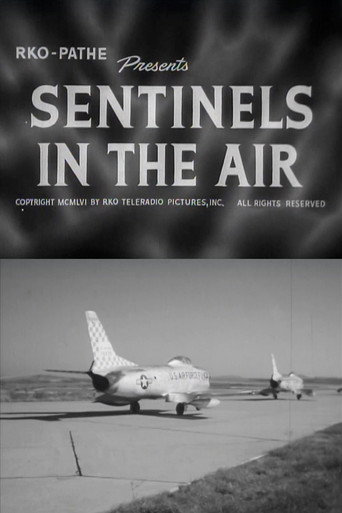 Sentinels in the Air