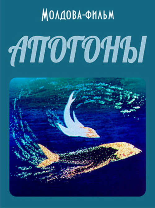 Cardinal Fish