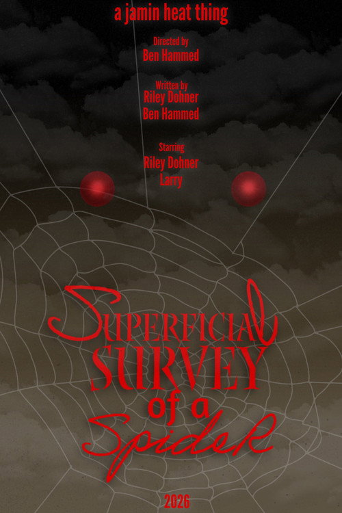 Superficial Survey of a Spider