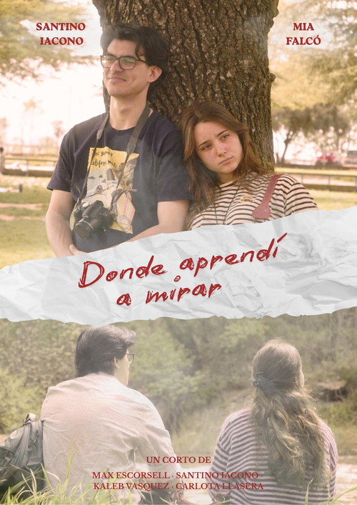 Dónde aprendí a mirar