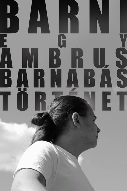 BARNI: A Barnabás Ambrus Story