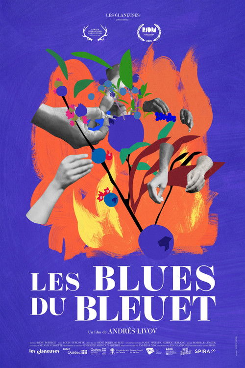 The Blueberry Blues
