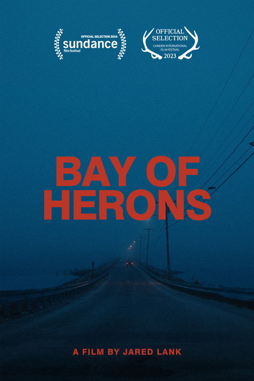 Bay Of Herons