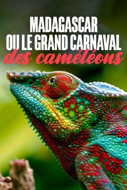 Madagascar or the Great Carnival of the Chameleons
