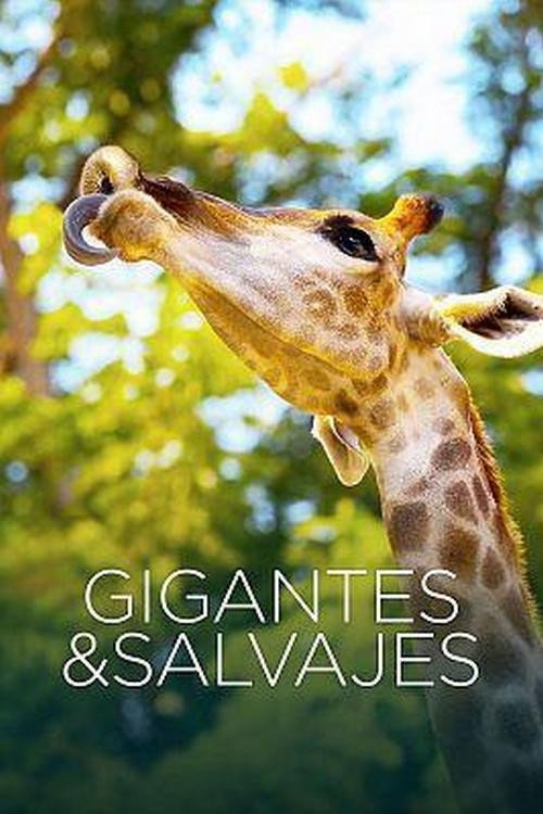 Gigantes y salvajes