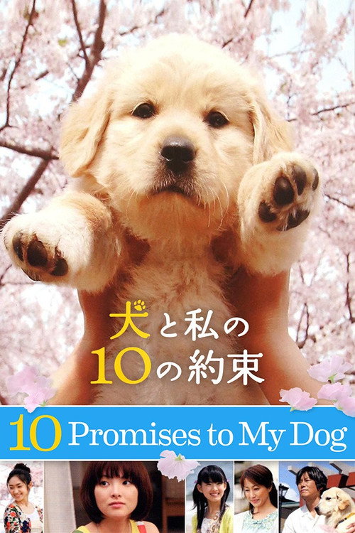 10 Promises to My Dog