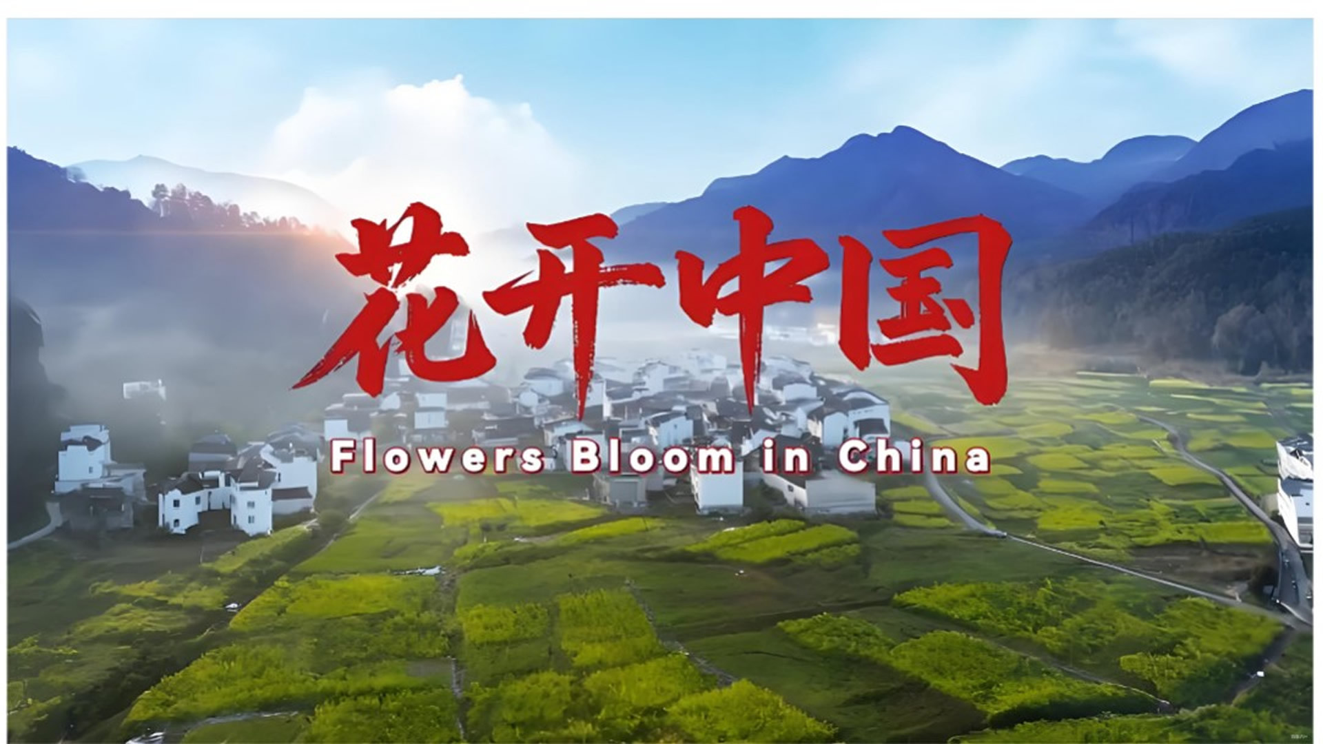 花开中国