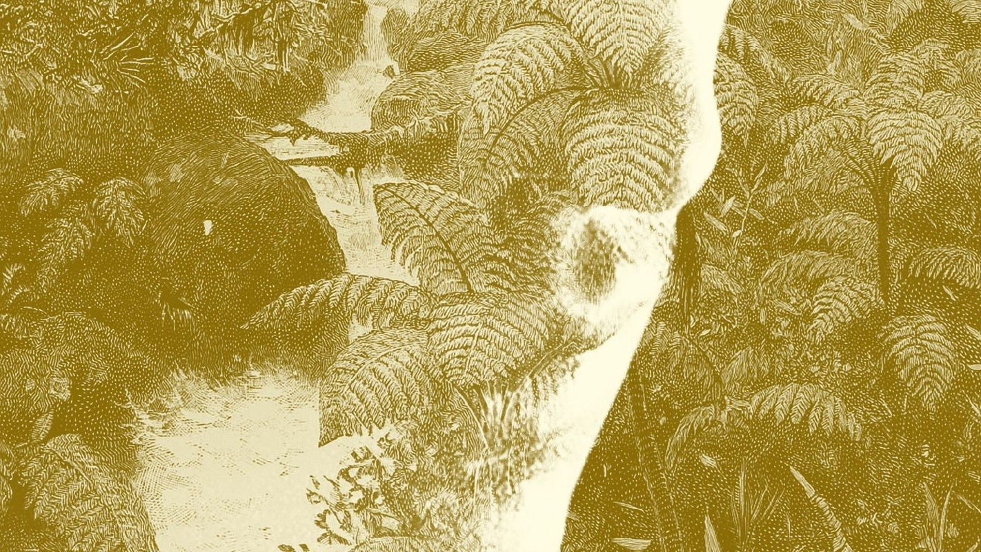 Tiger Bay