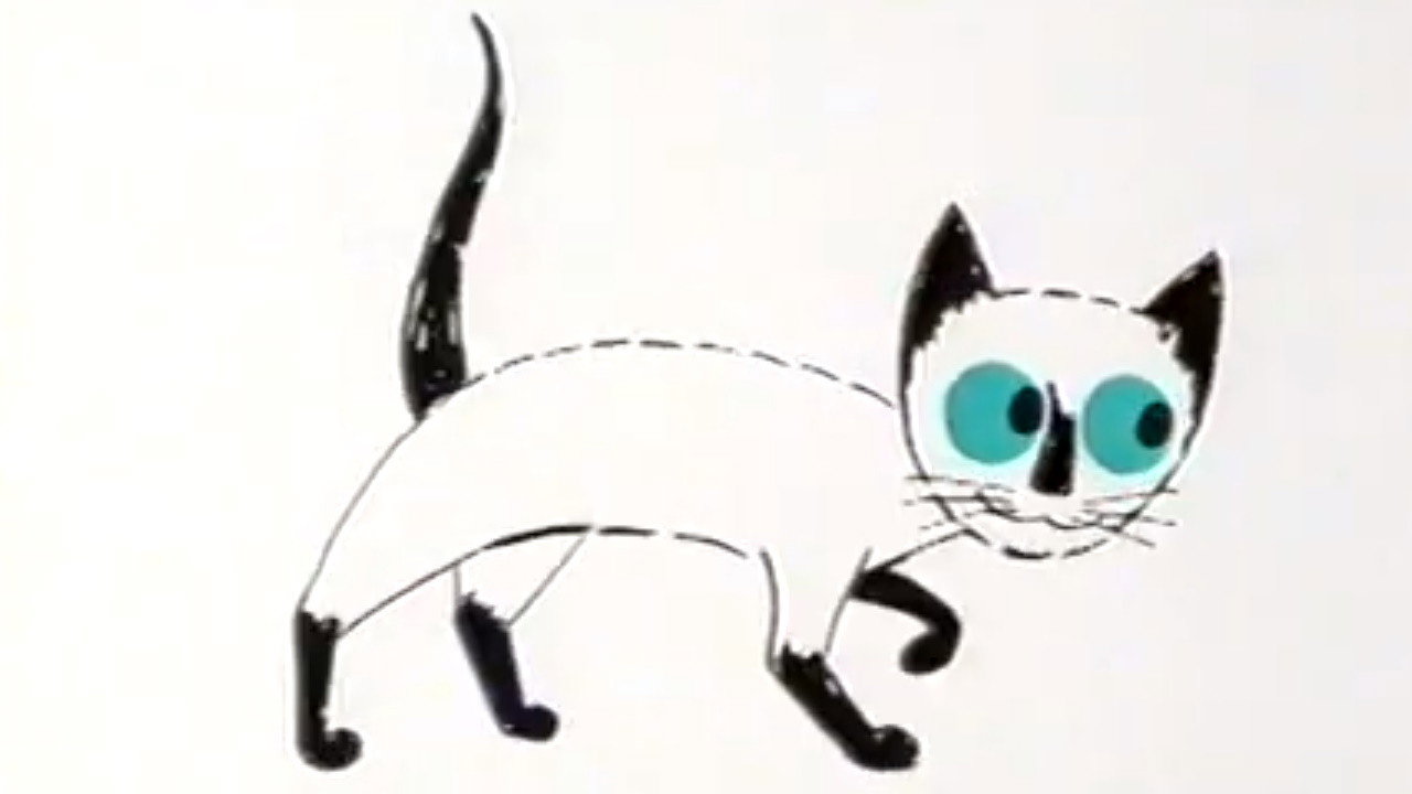 Pussycat with the Blue Eyes