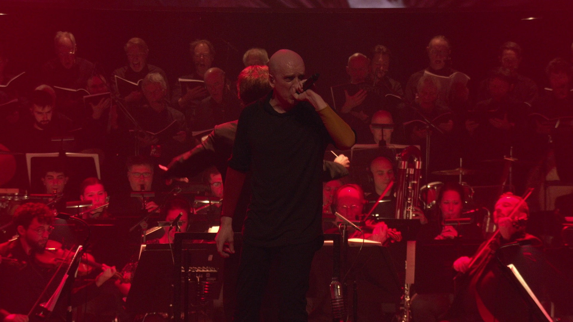 Devin Townsend: The Moth