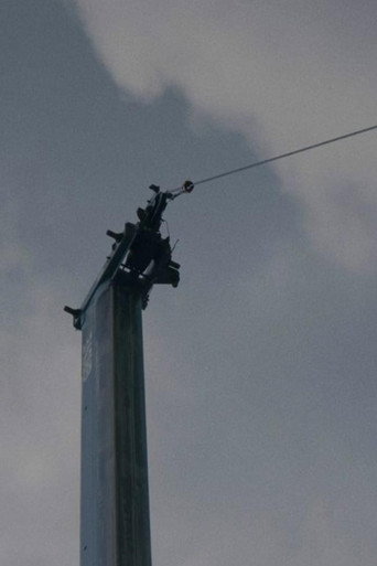 Cranes and Voices