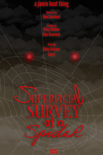 Superficial Survey of a Spider