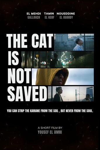 The cat is not saved
